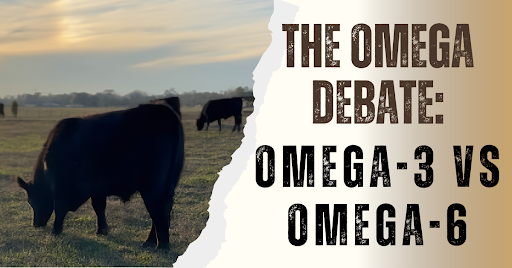 The Omega Debate: Omega-3 VS Omega-6