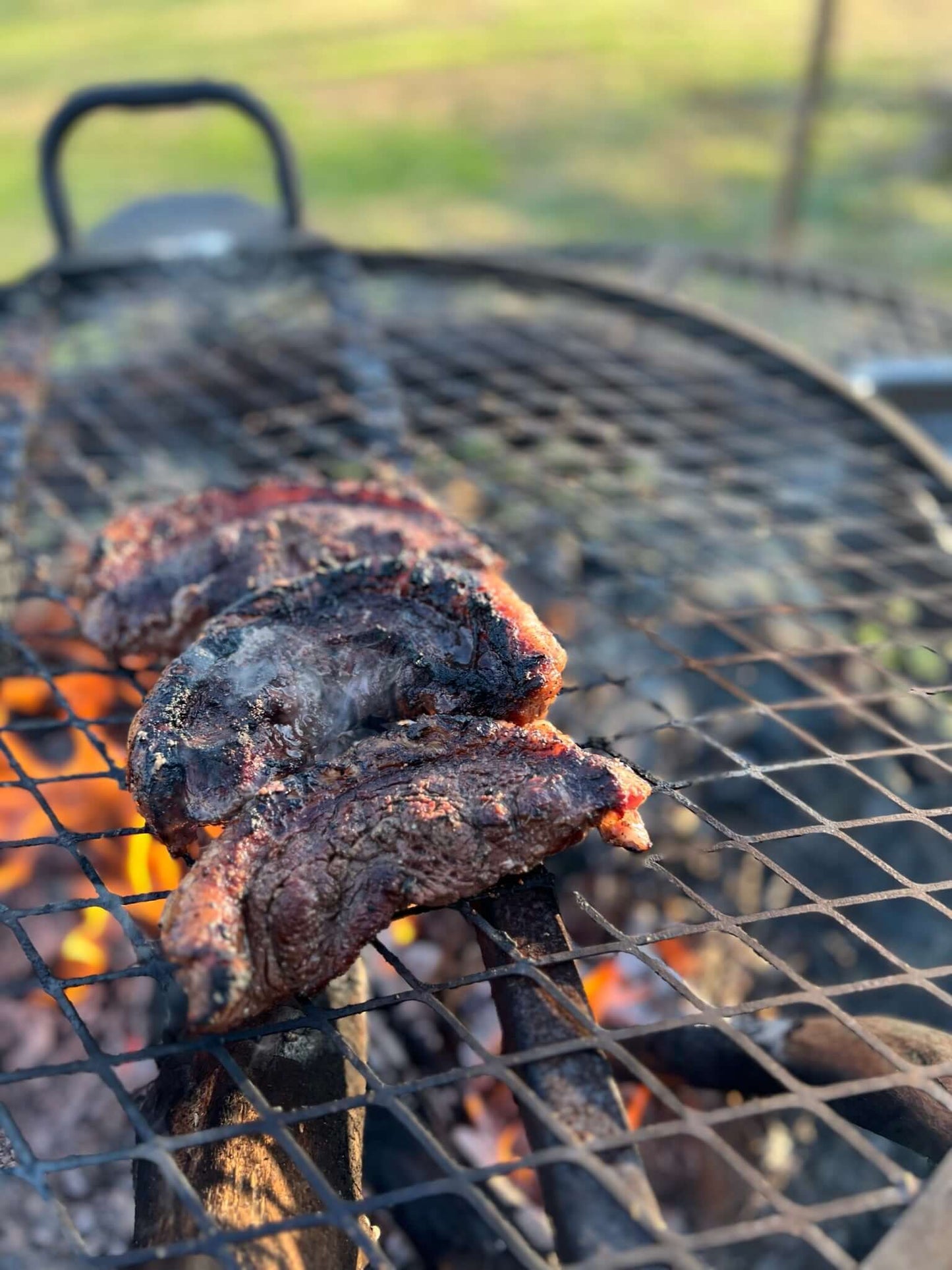 beef for sale in florida