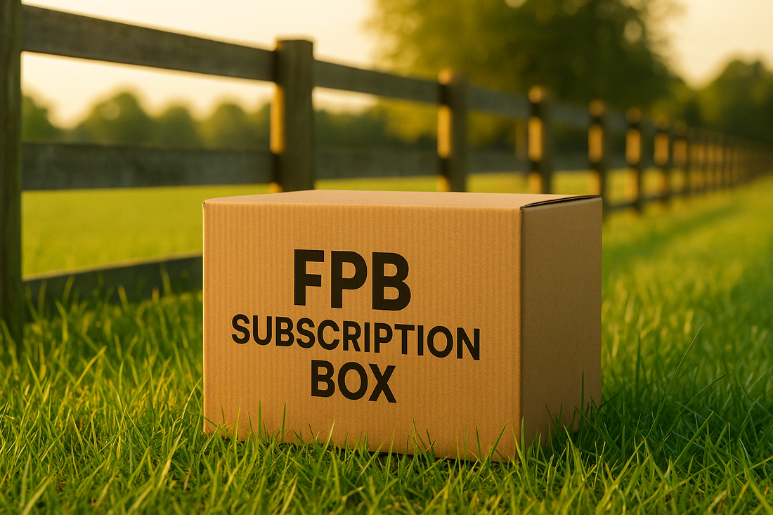 Why Everyone Loves Florida Premium Beef Subscription Boxes