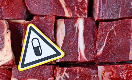 The Antibiotic Menace in Supermarket Beef
